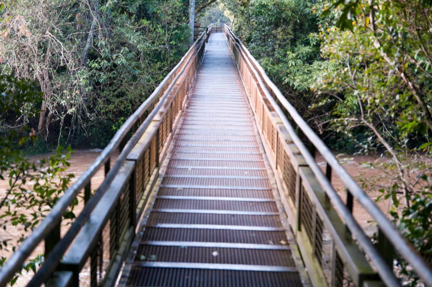 Iguazu Boardwalk