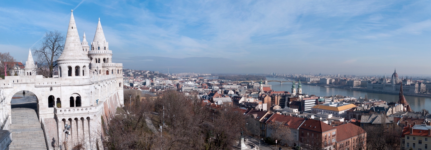 Buda Castle Overlooking The Danube