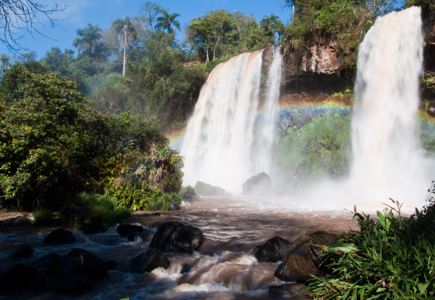 Iguazu Falling