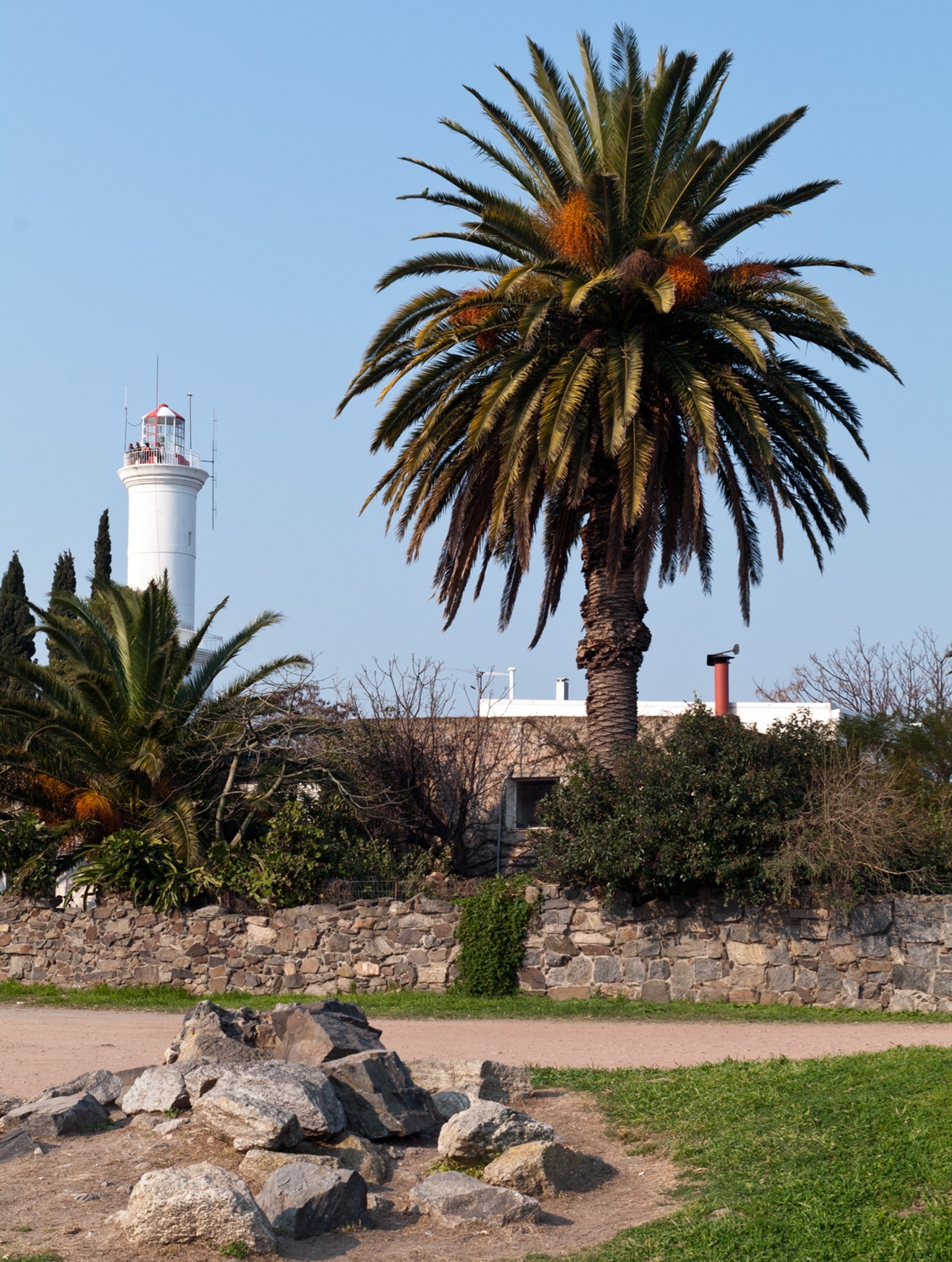 Lighthouse Of Colonia