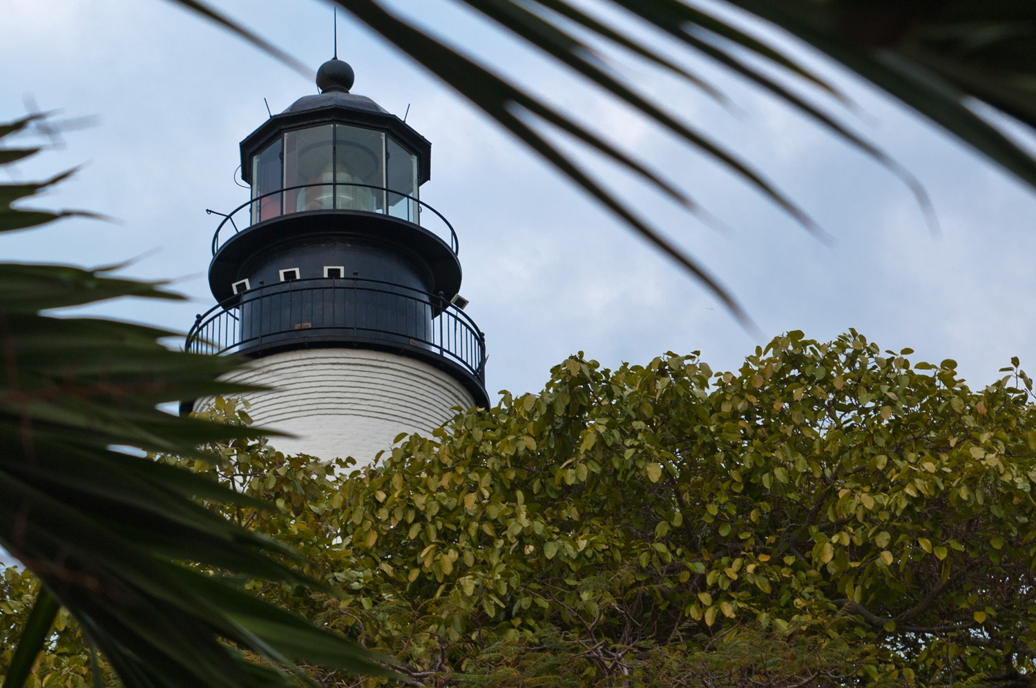 Lighthouse Through The Palms
