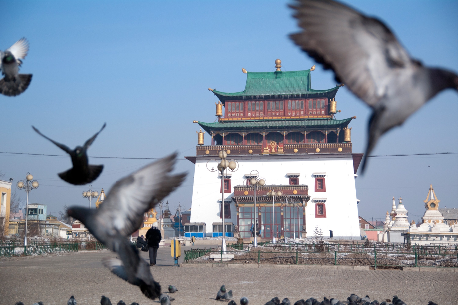 Pigeons Flying And The Temple