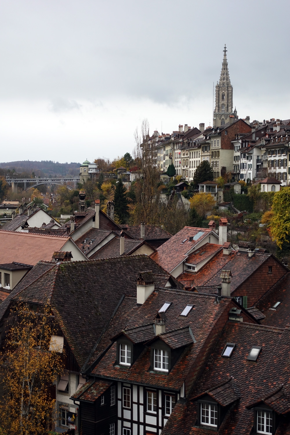 Rooftops In Bern