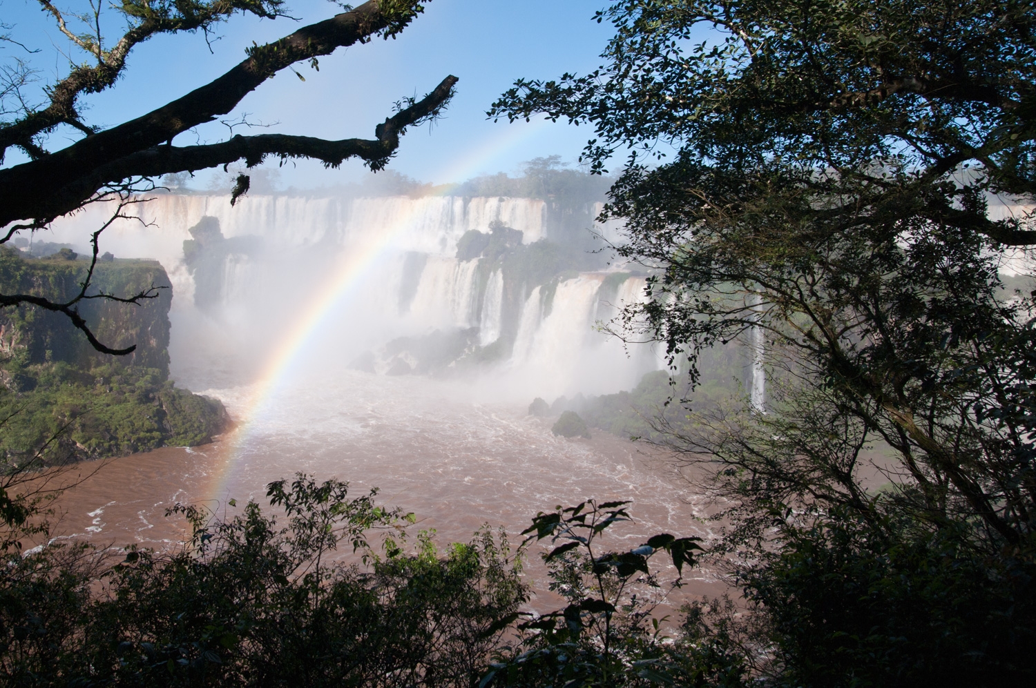 See The Rainbow Through The Trees