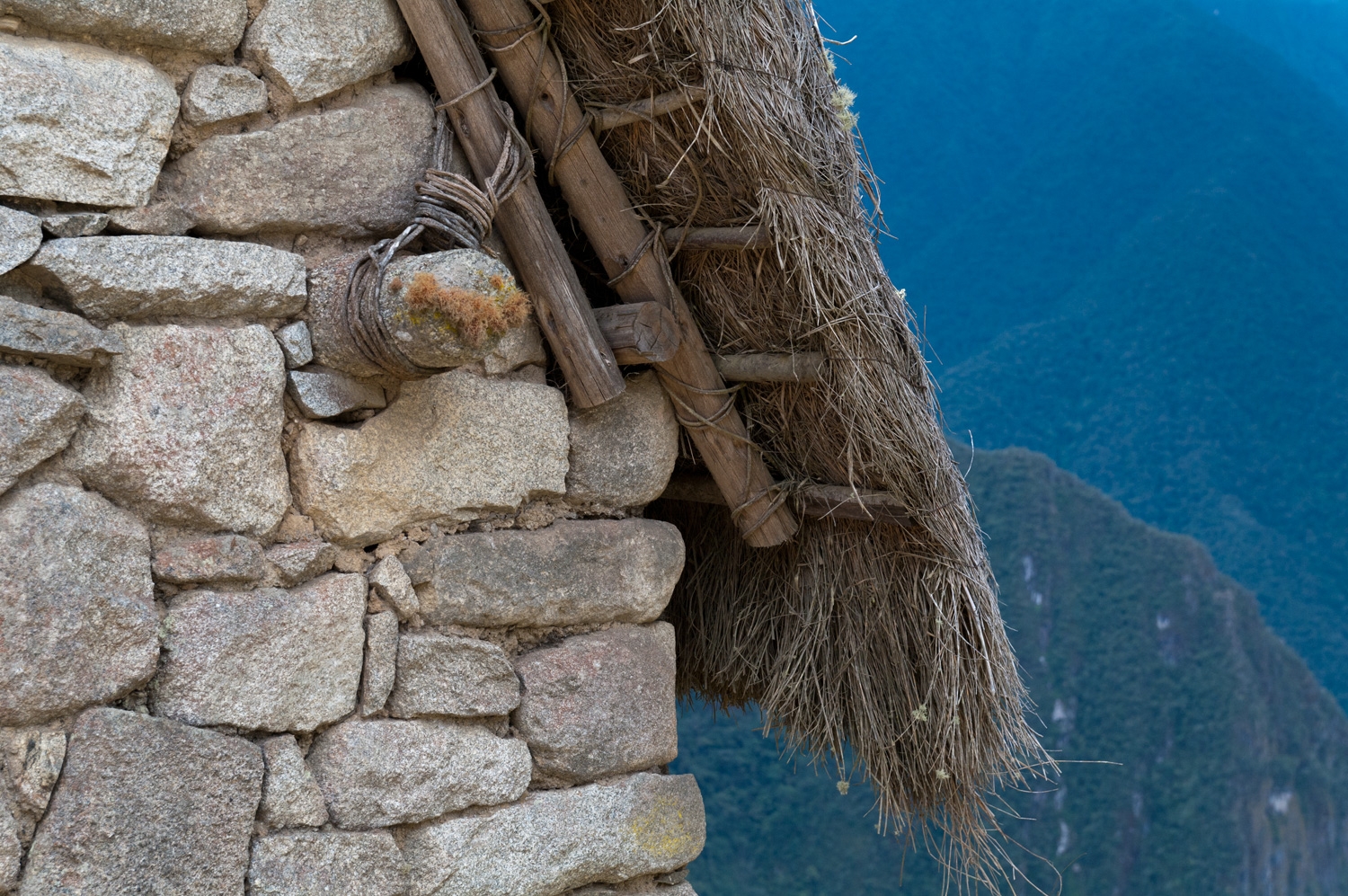 Thatch Roof Machu Picchu
