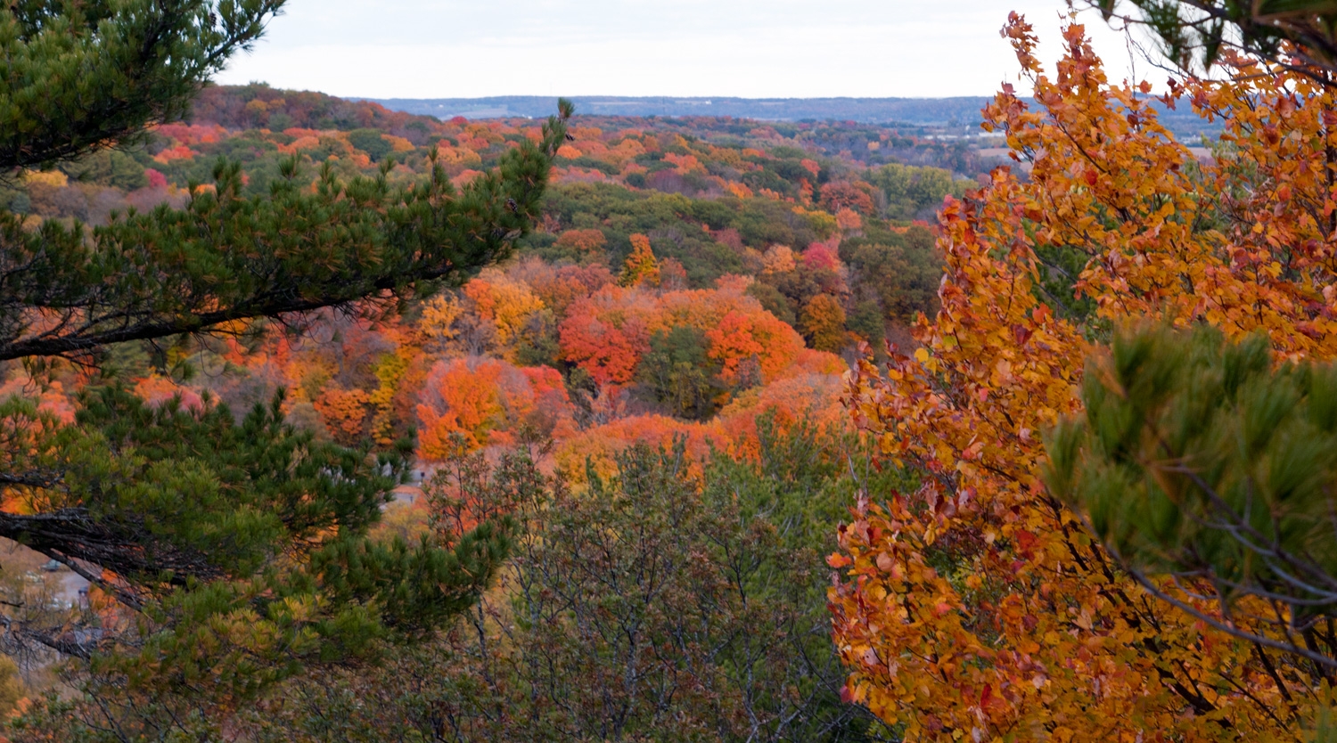 The Fall Colors Of Wisconsin