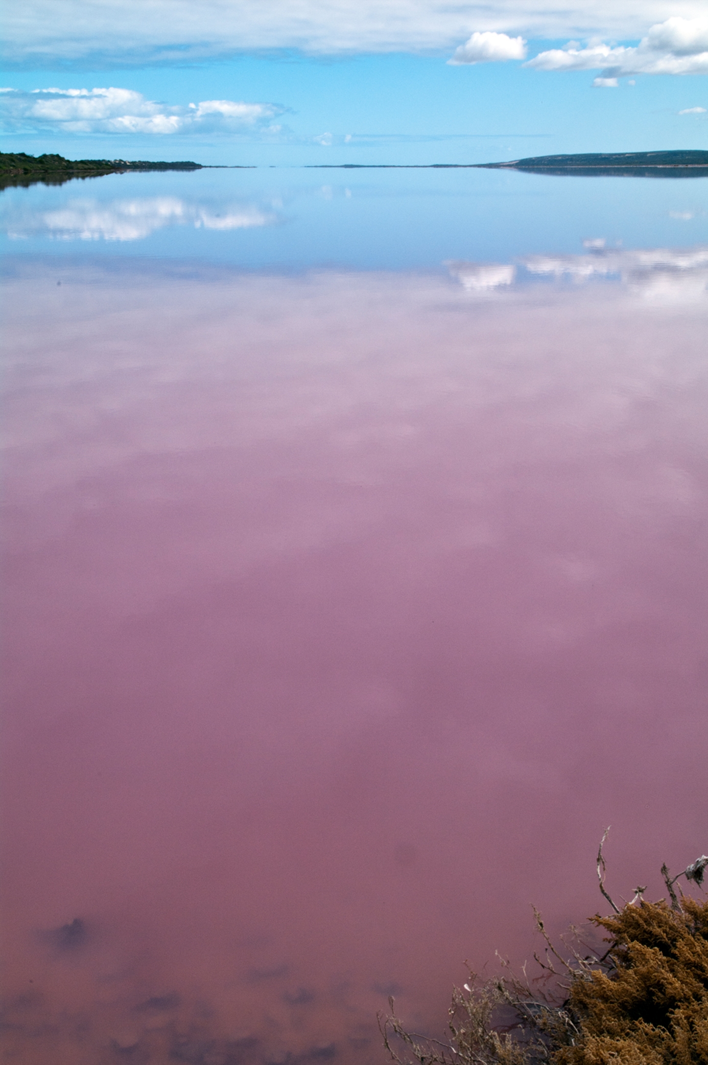 The Pink Lake