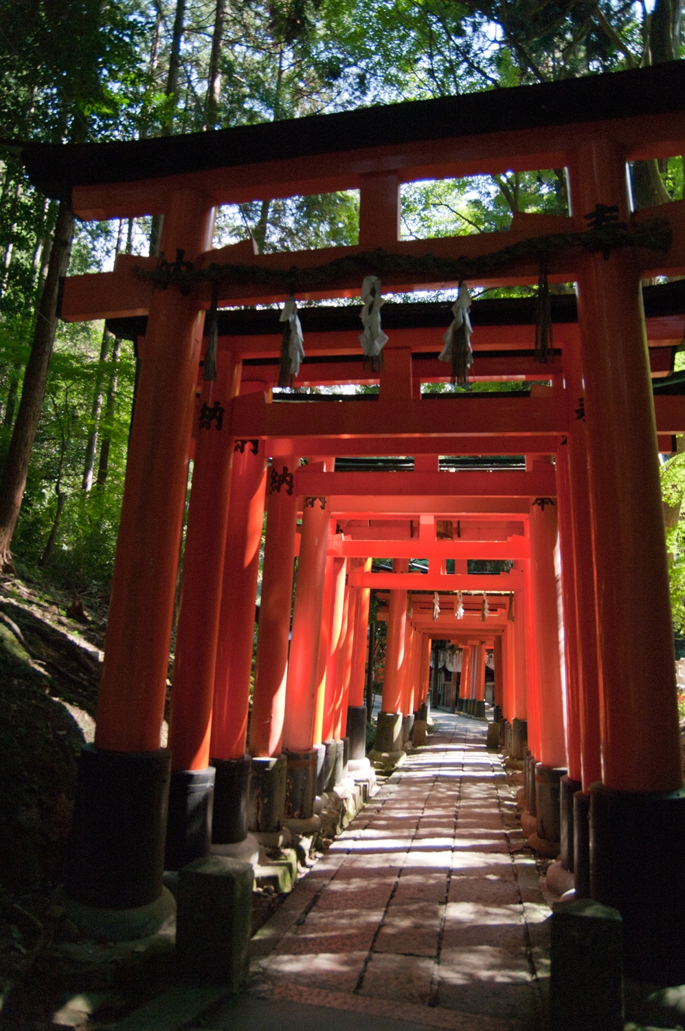 The Trail Up Fushimi Inari Taisha