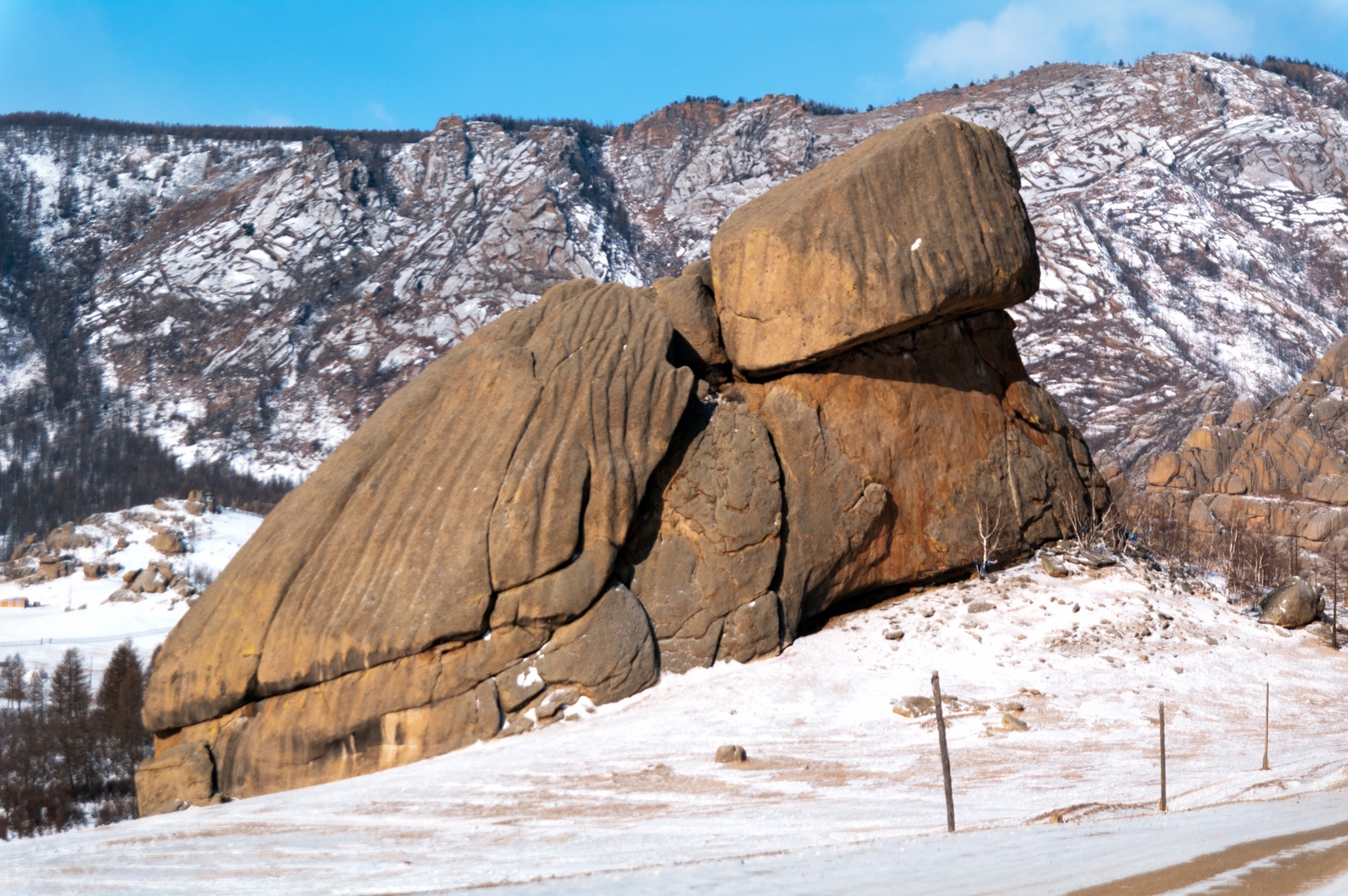Turtle Rock In Mongolia