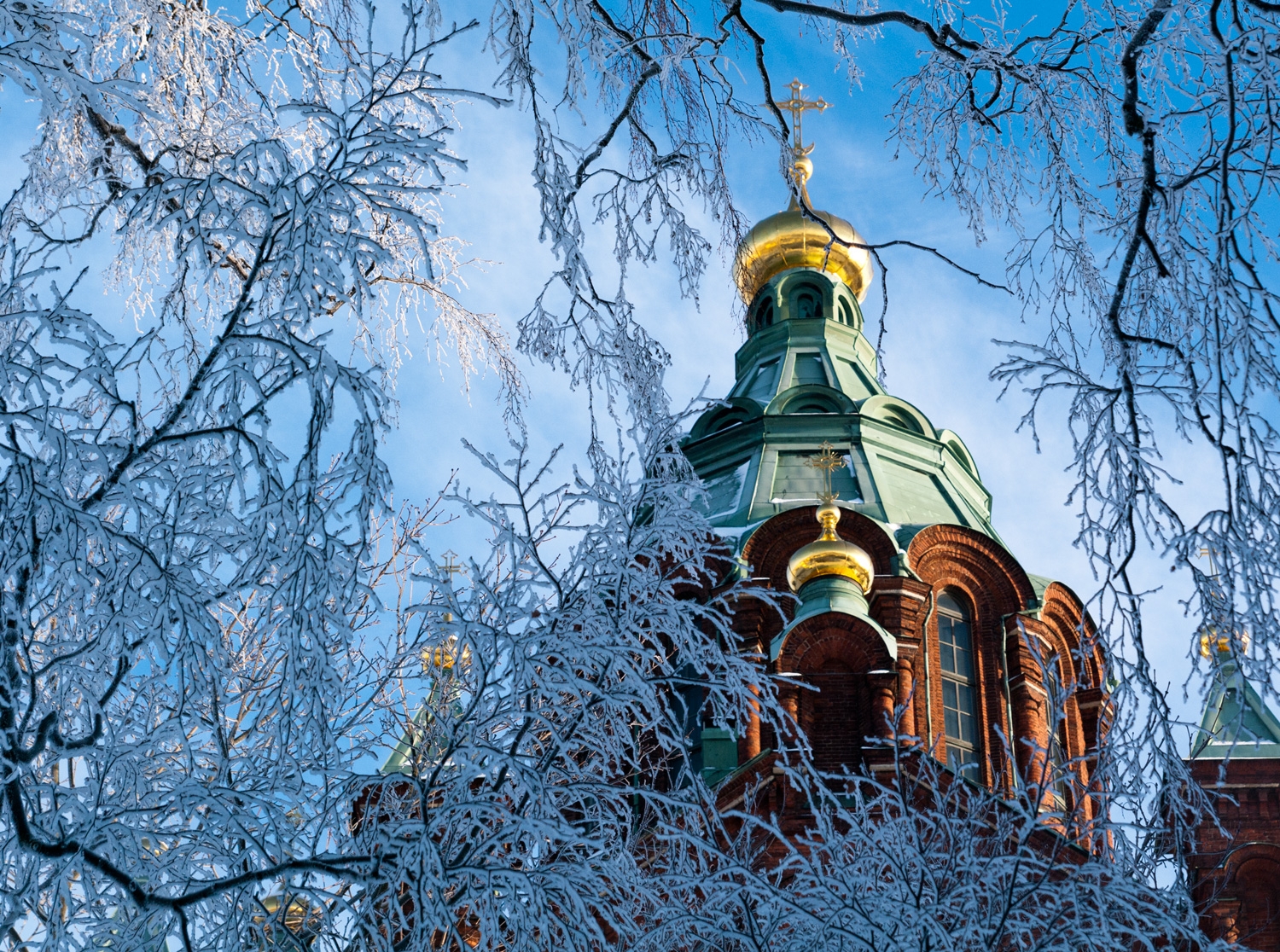 Uspenski Cathedral And A Very Frozen Puu