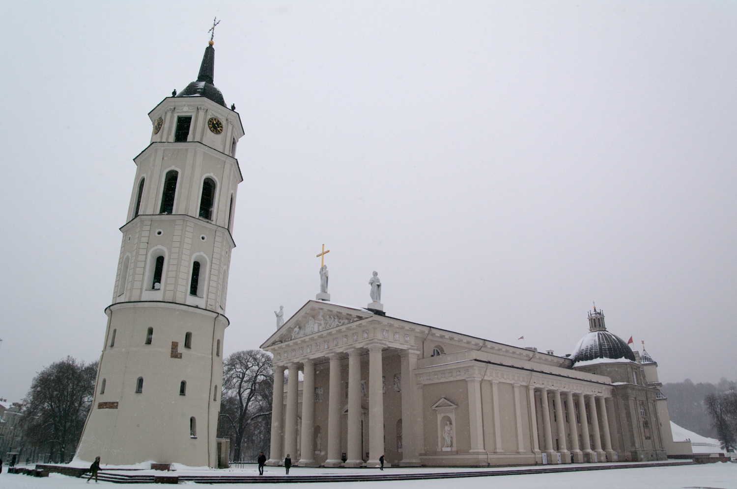 Vilniaus Katedra