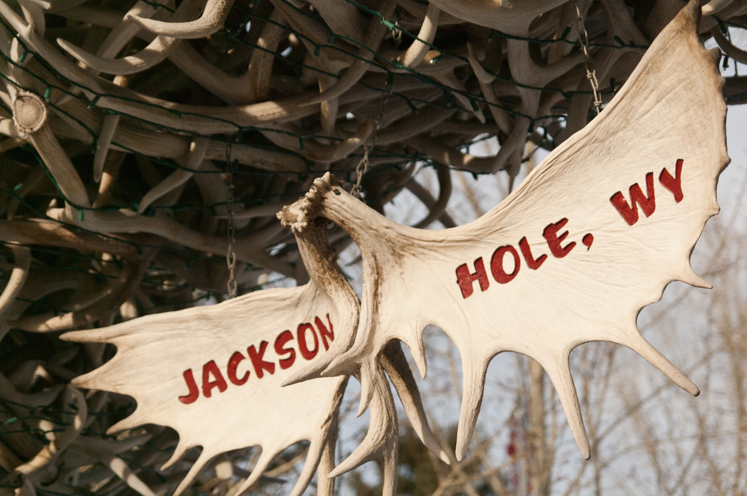 Welcome To Jackson Hole