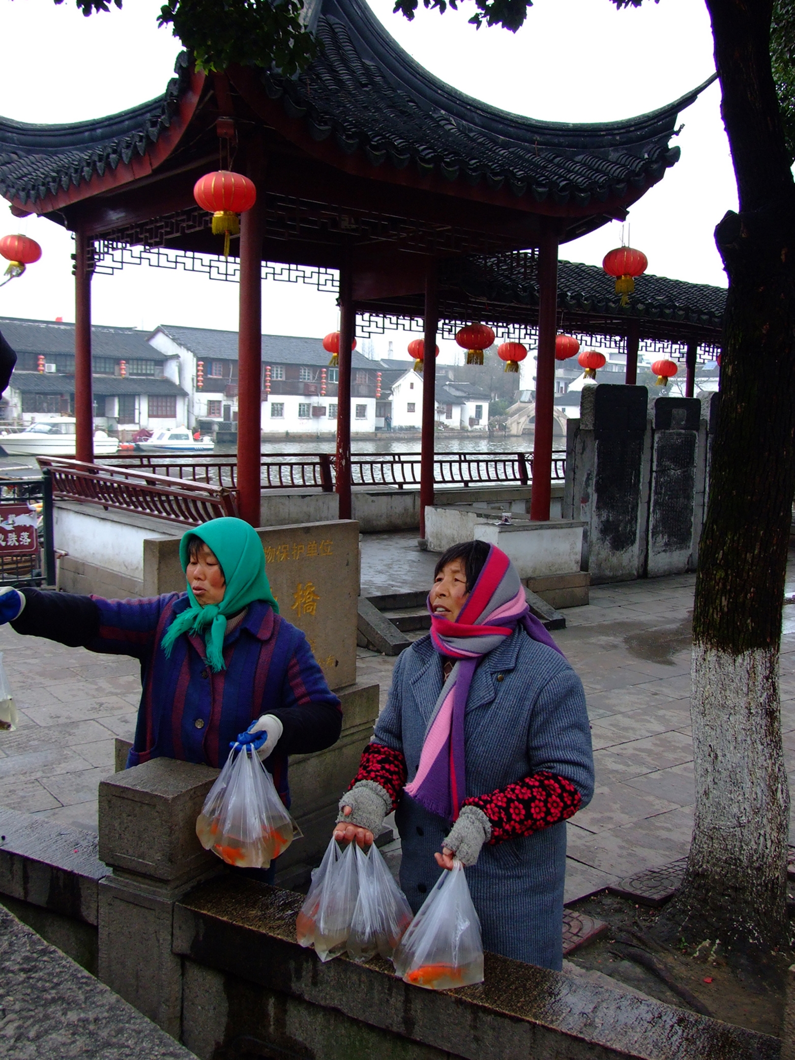 Gold Fish Ladies Of Zhujiajiao