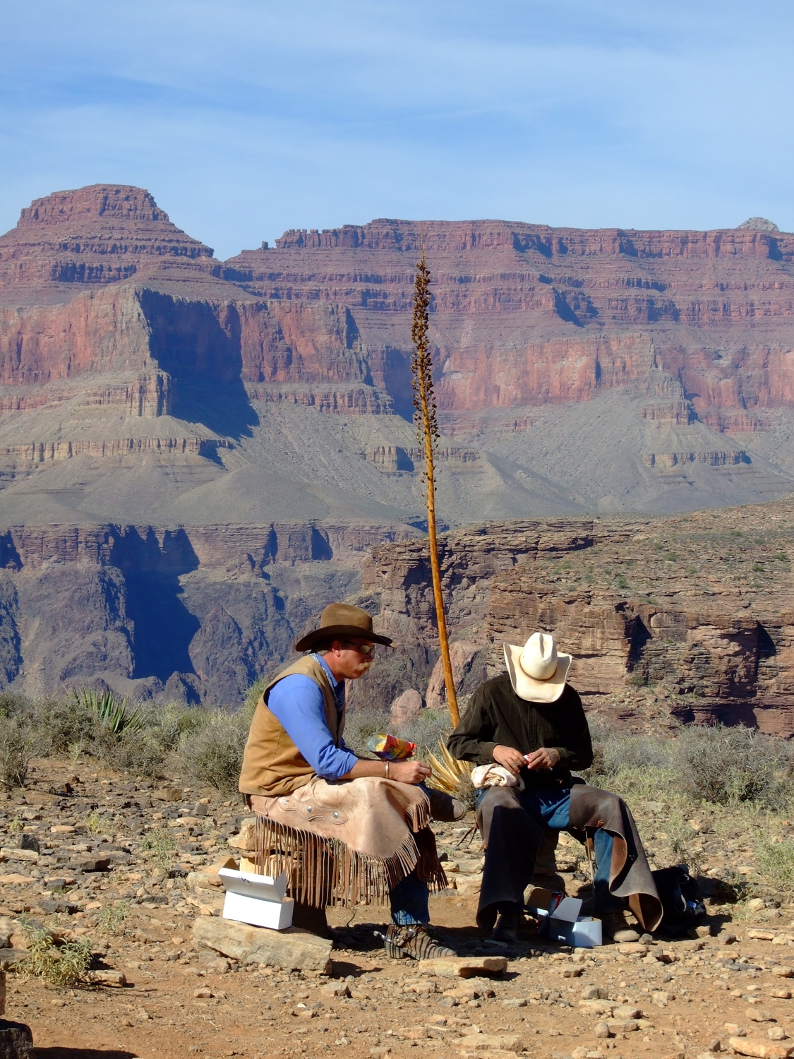 Grand Canyon Cowboys