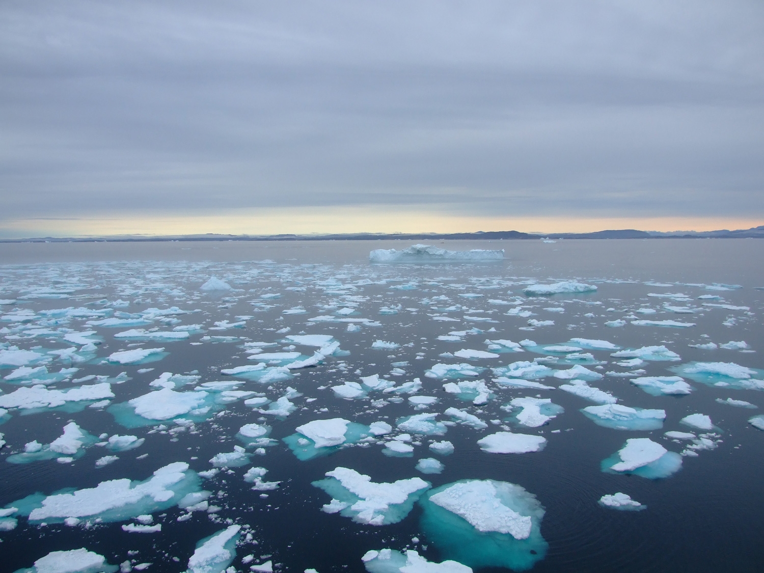Iceburgs In The Arctic