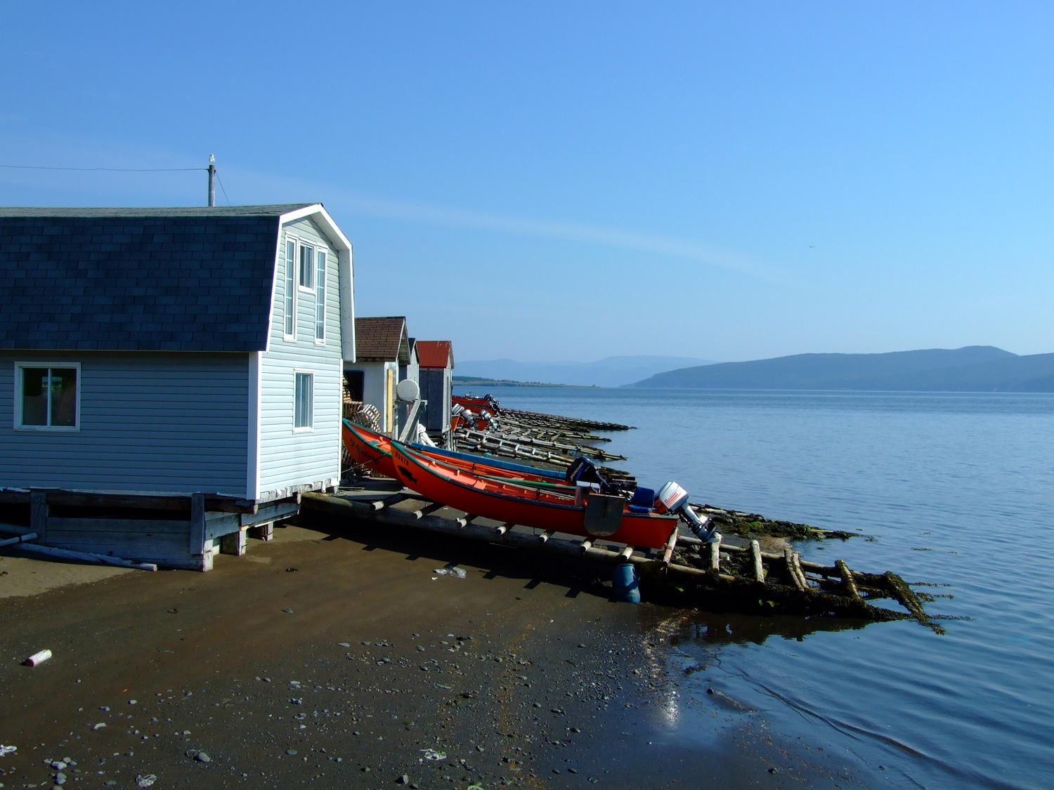 Newfoundland Fishing Boats 