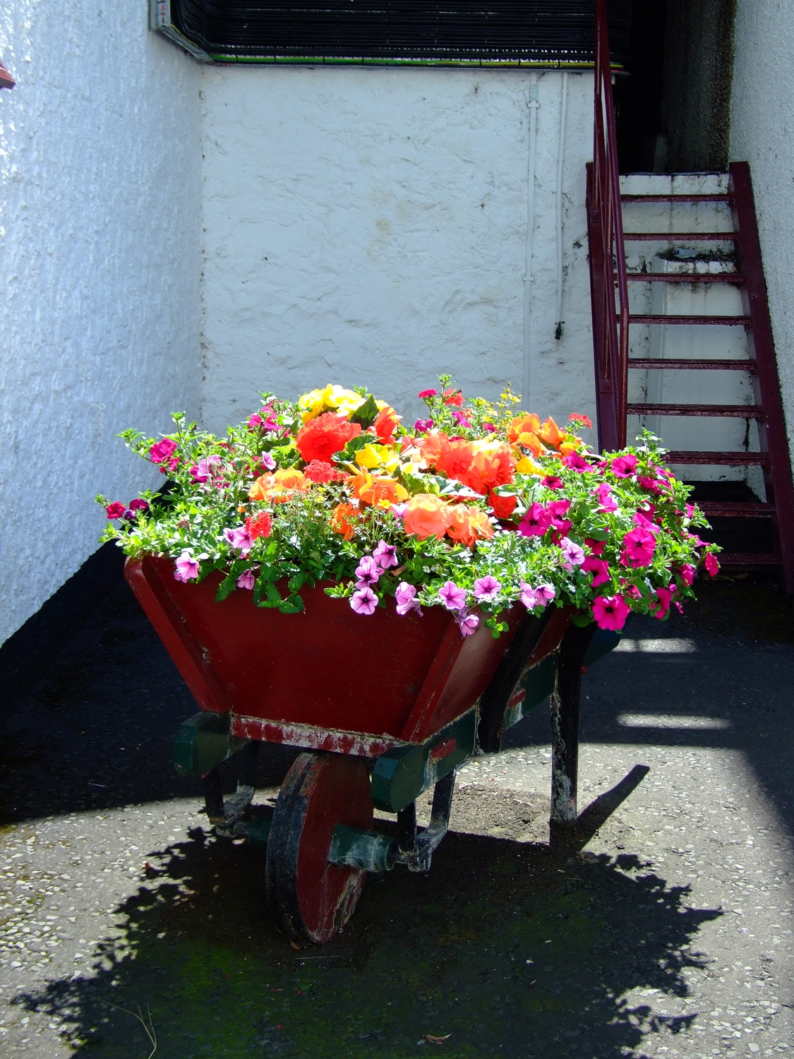 Wheelbarrow Full Of Flowers